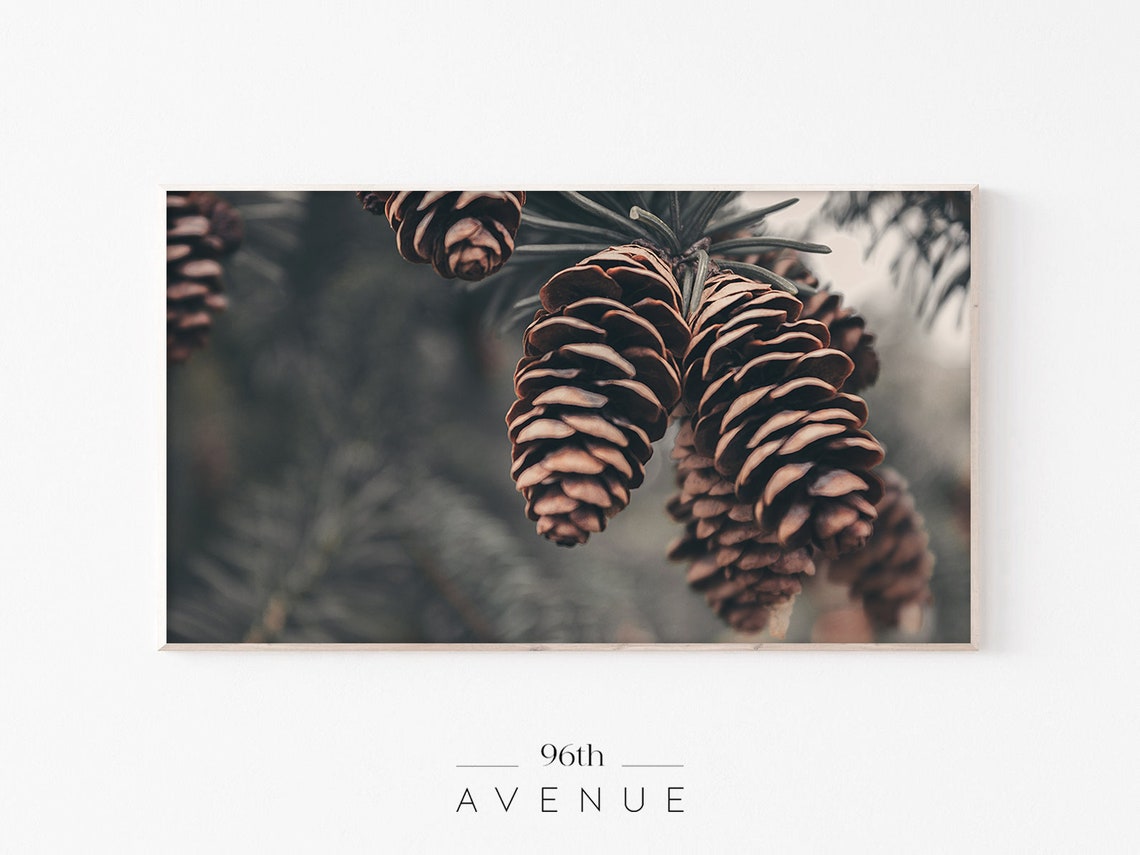 Forest Pine Cone Art for TV