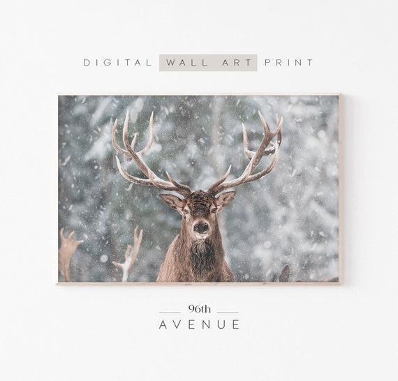 Winter Deer Art Print, Christmas Decor