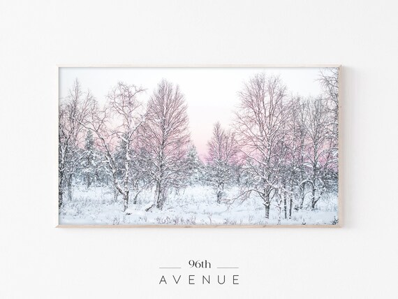 Bare Winter Trees in Snow with Soft Pink Pastel Sunrise Sky Poster