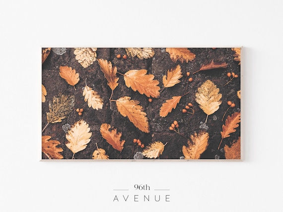 Golden Autumn Oak Leaves Fallen Dark Bark Rustic Fall Poster