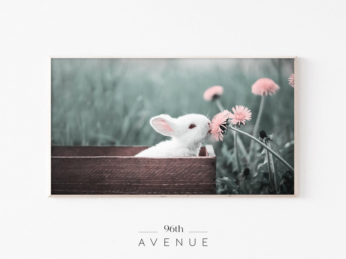 Easter Bunny - Spring Art