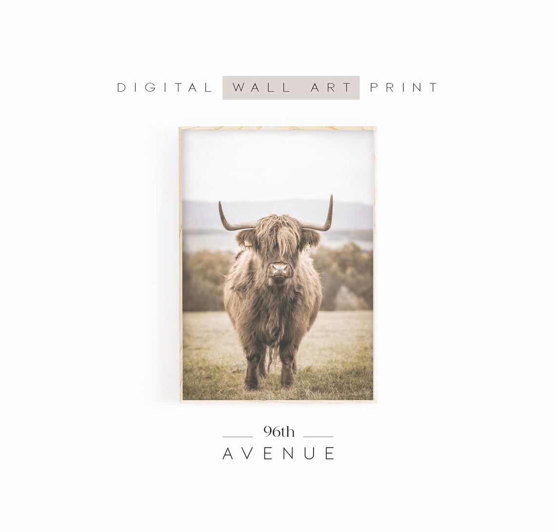 Highland Cow Print, Farm Animal Wall Art