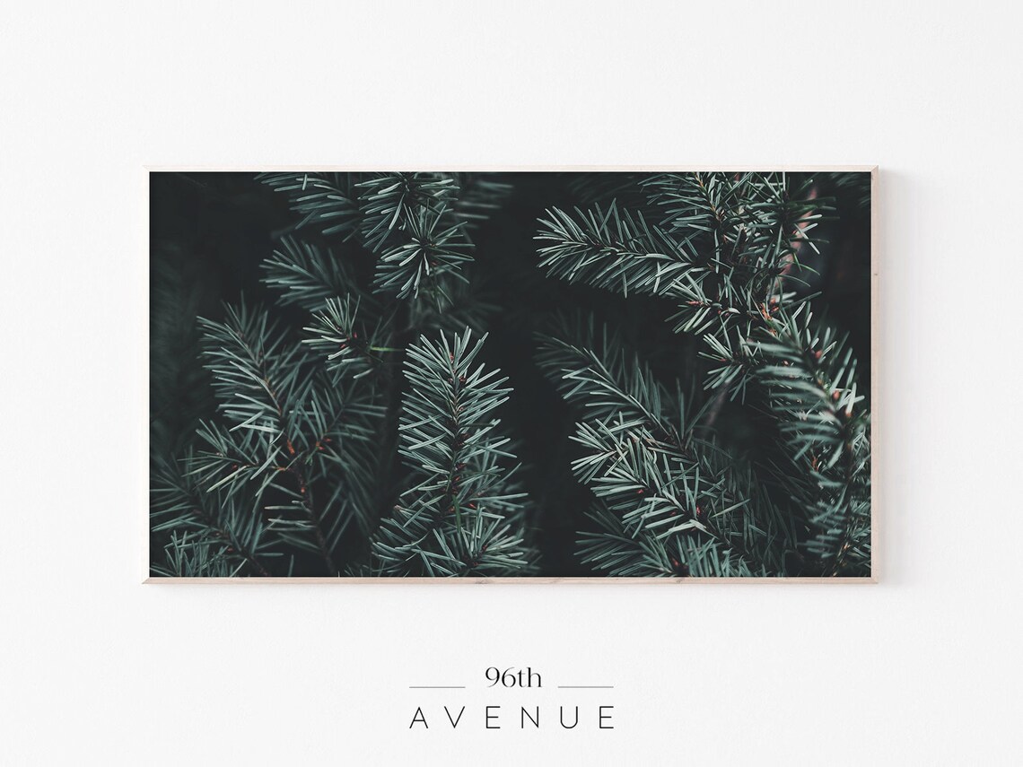Pine Tree Branches - Nature Art