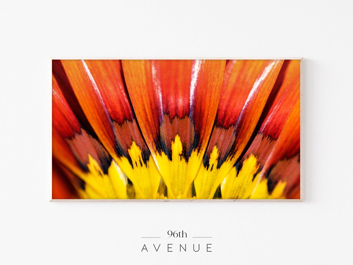 Vibrant Orange and Red Flower Petals Macro Photography Print