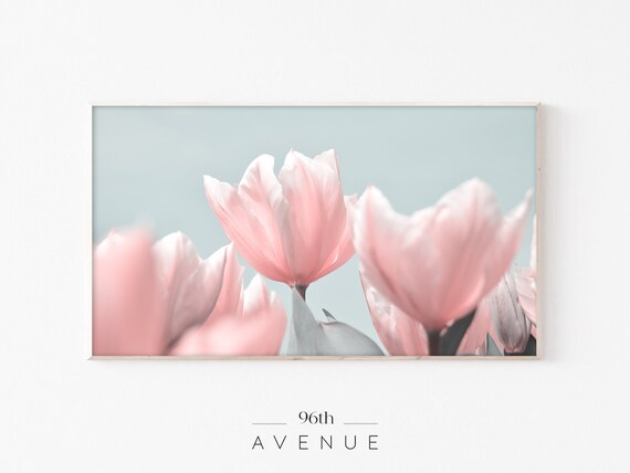Soft Pink Tulips Pale Blue Background Elegant Spring Floral Poster