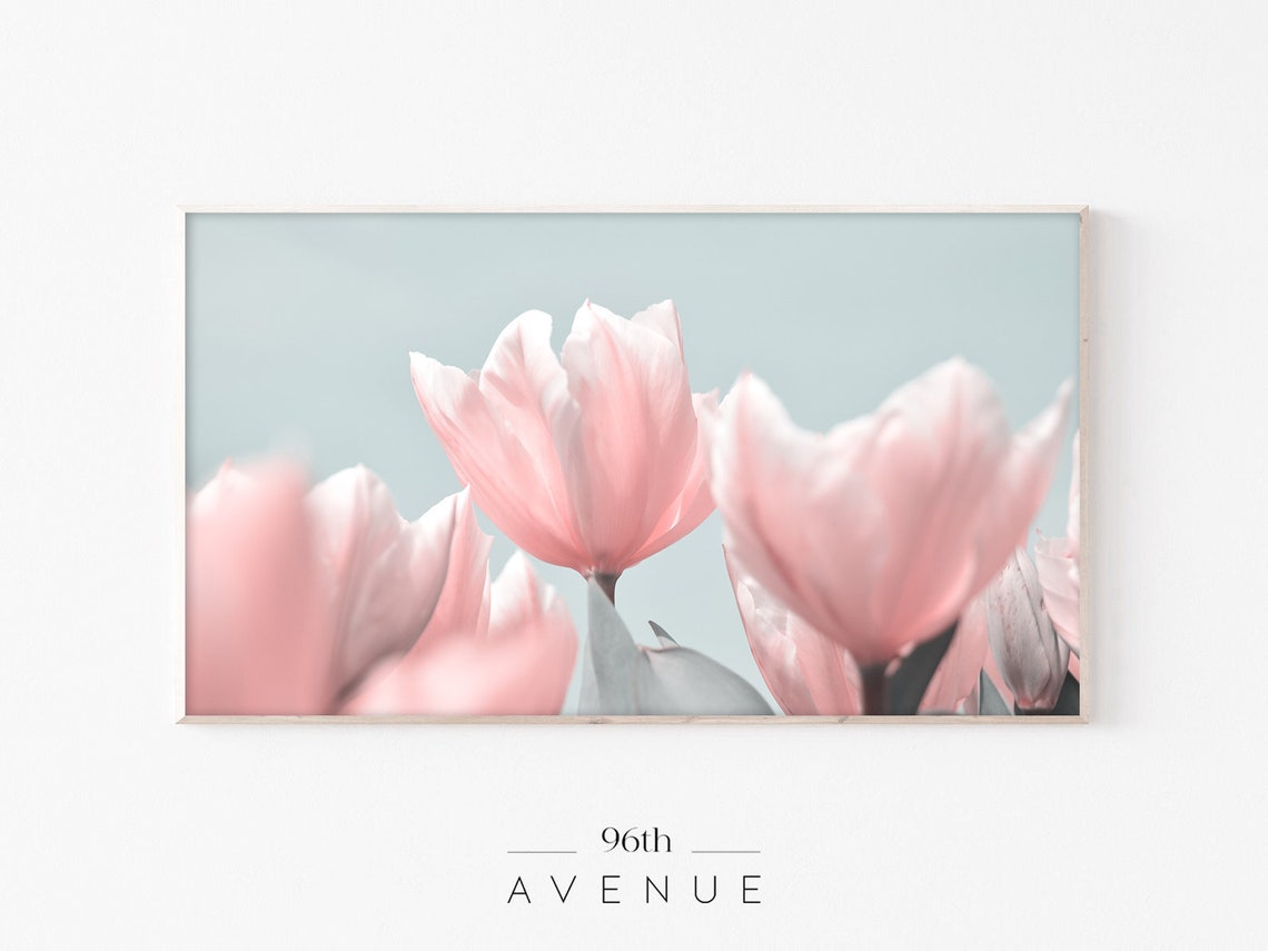 Soft Pink Tulips Pale Blue Background Elegant Spring Floral Poster