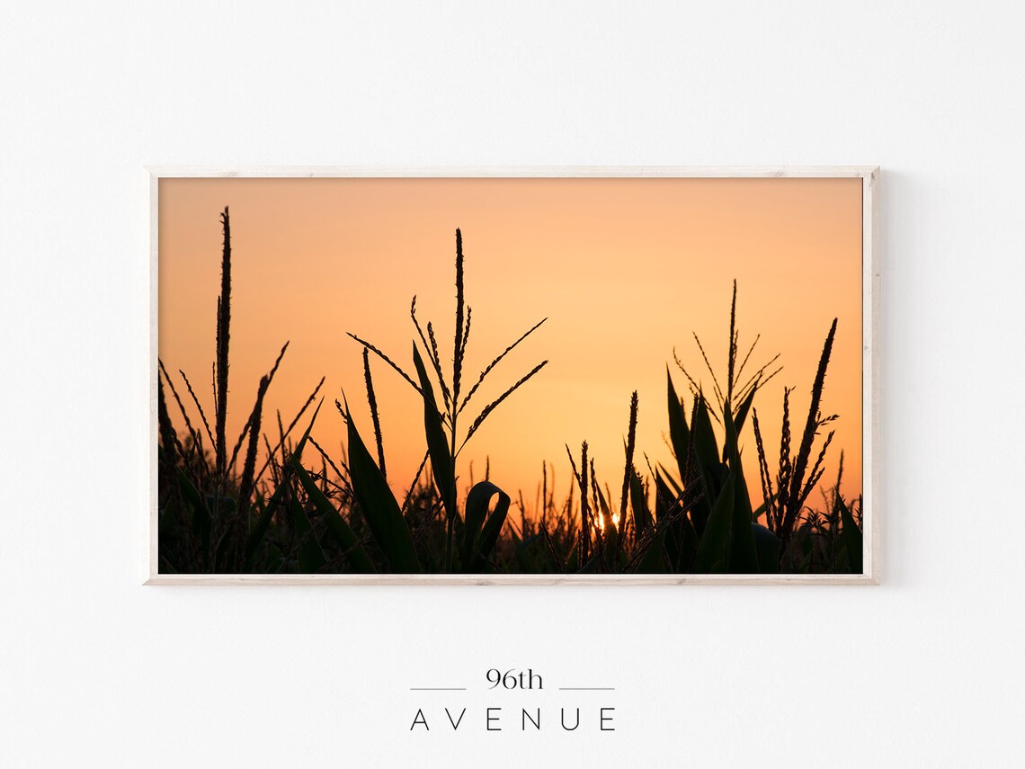 Corn Stalks Silhouette Against Orange Sunset Sky Farm Poster