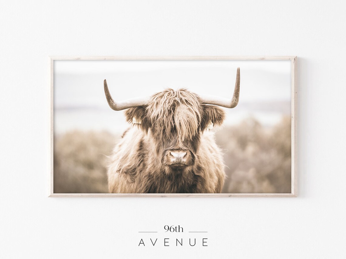 Cozy Highland Cow Shaggy Brown Close Up Farmhouse Portrait Print