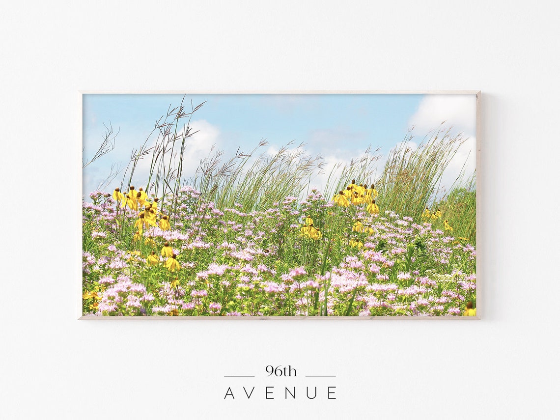 Spring Meadow Flowers, TV Art