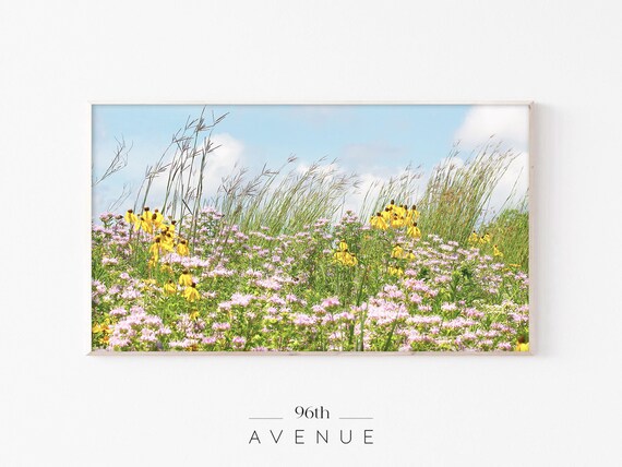 Spring Meadow Flowers, TV Art