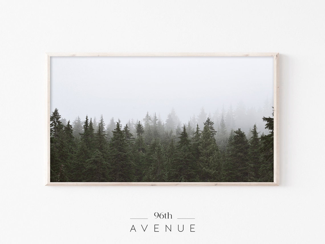 Moody Foggy Pine Forest Evergreen Trees Photography Wall Art