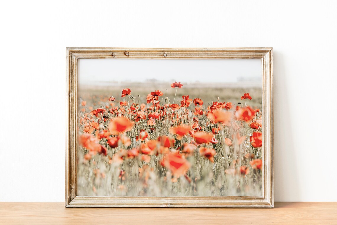 Field Of Poppies, Wildflower Landscape Art Print - Image 2