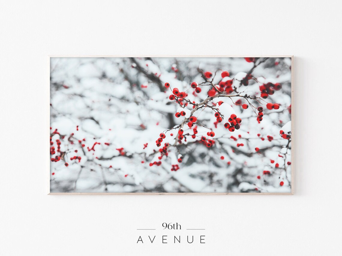 Frozen Red Berries Winter TV Art, Holiday Poster