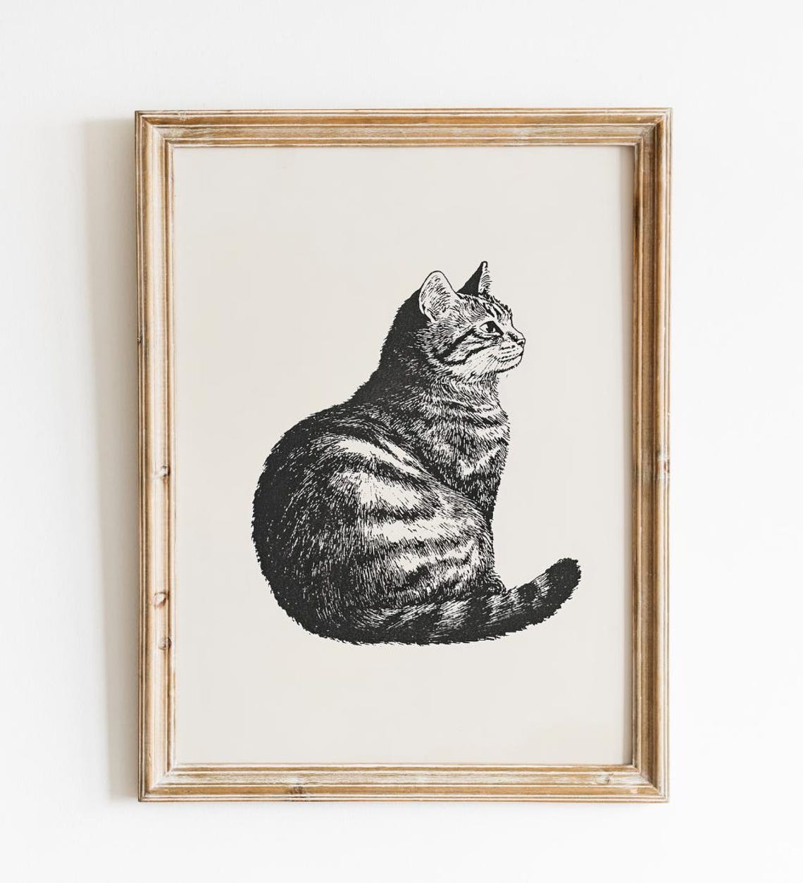 Seated Tabby Cat in Profile Classic Ink Etching Minimal Cat Art Poster - Image 4