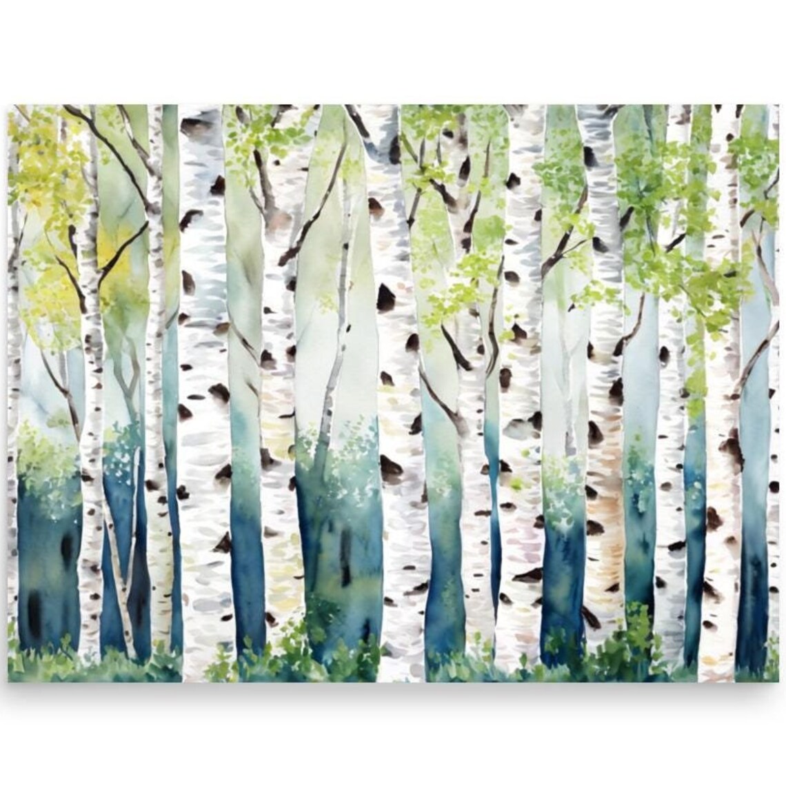 Birch Aspen Tree Trunks Watercolor Forest Close Up Nature Art Poster