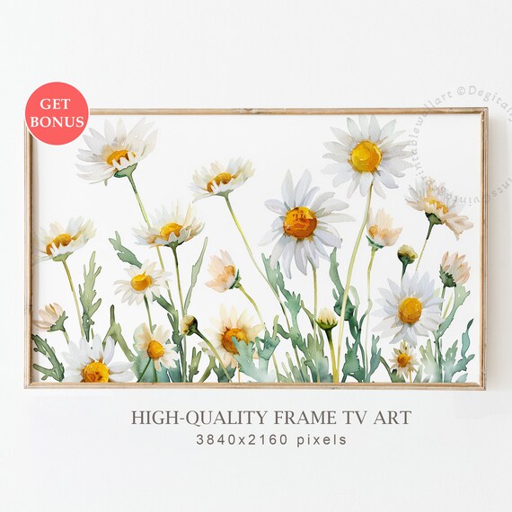 Watercolor Daisies White Yellow Spring Botanical Fresh Floral Art Poster