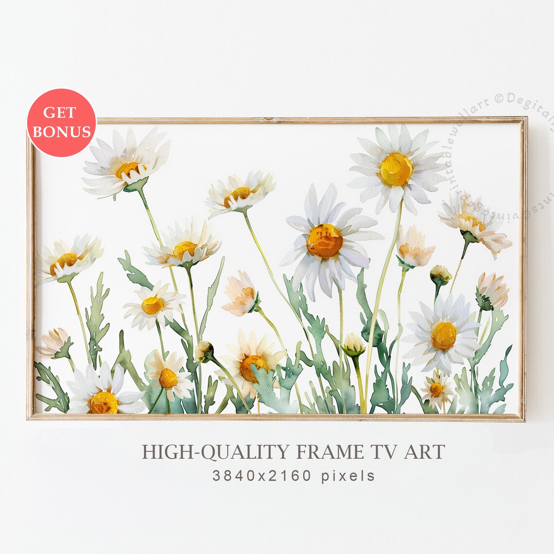 Watercolor Daisies White Yellow Spring Botanical Fresh Floral Art Poster