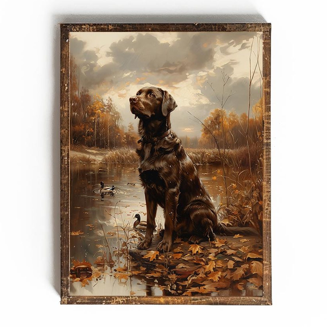 Chocolate Labrador Sitting by an Autumn Pond with Ducks Poster