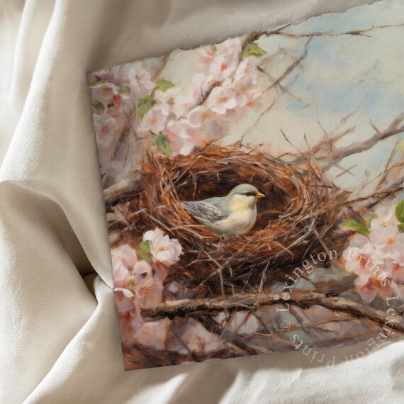 Tiny Bird Resting in Nest Among Pink Cherry Blossoms Spring Poster