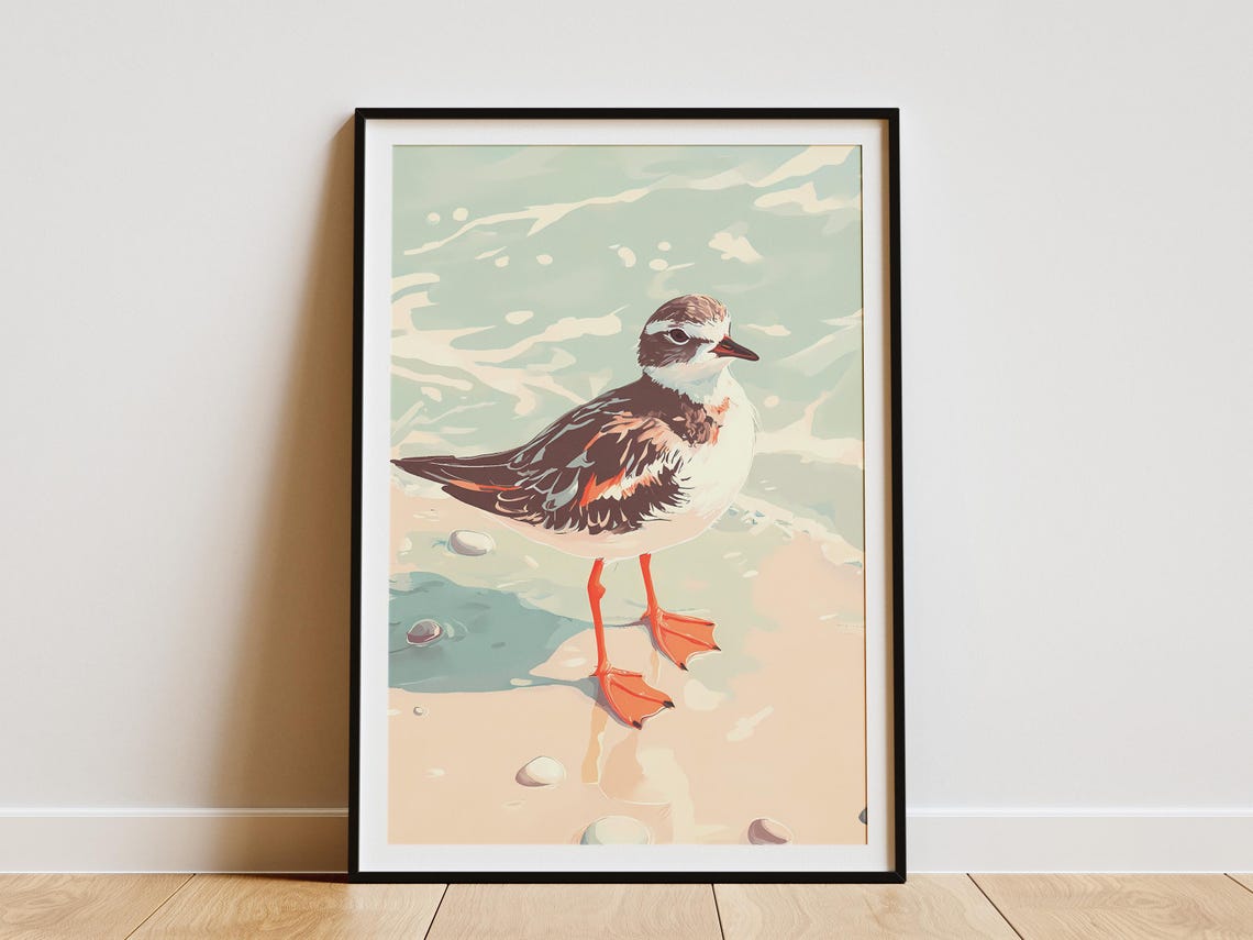 Ruddy Turnstone Shorebird Standing on Sandy Beach Coastal Poster