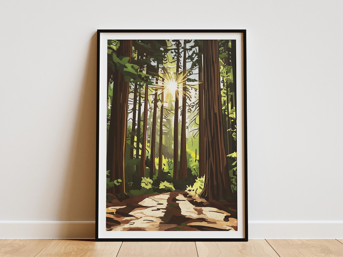 Sunbeam Redwood Forest Trail Giant Tall Trees Scenic Art Poster