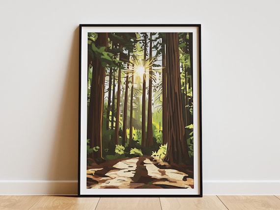 Sunbeam Redwood Forest Trail Giant Tall Trees Scenic Art Poster