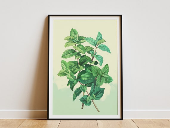Botanical Print Green Minimalist Poster, Mint Plant