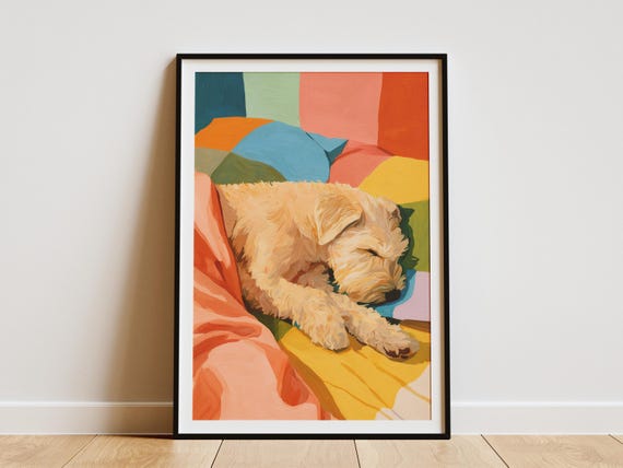 Soft Coated Wheaten Terrier Sleeping Dog Art Print