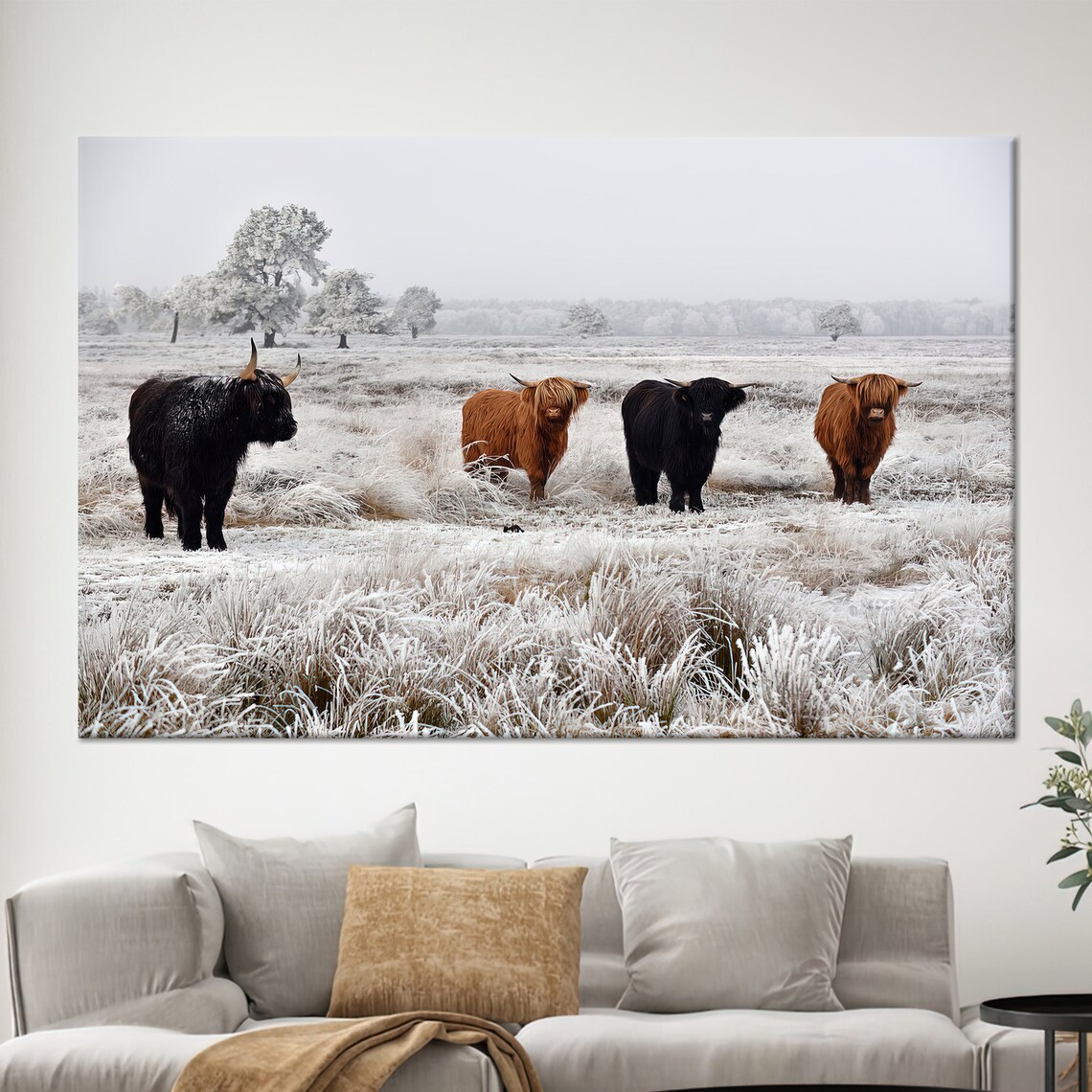 Four Highland Cows Snowy Winter Field Farmhouse Photography Poster