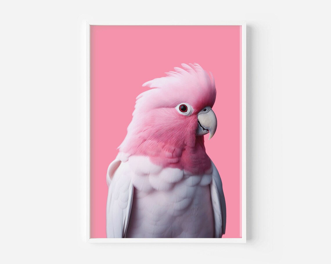 Pink Galah Bird Poster Print, Tropical Australia - Image 3