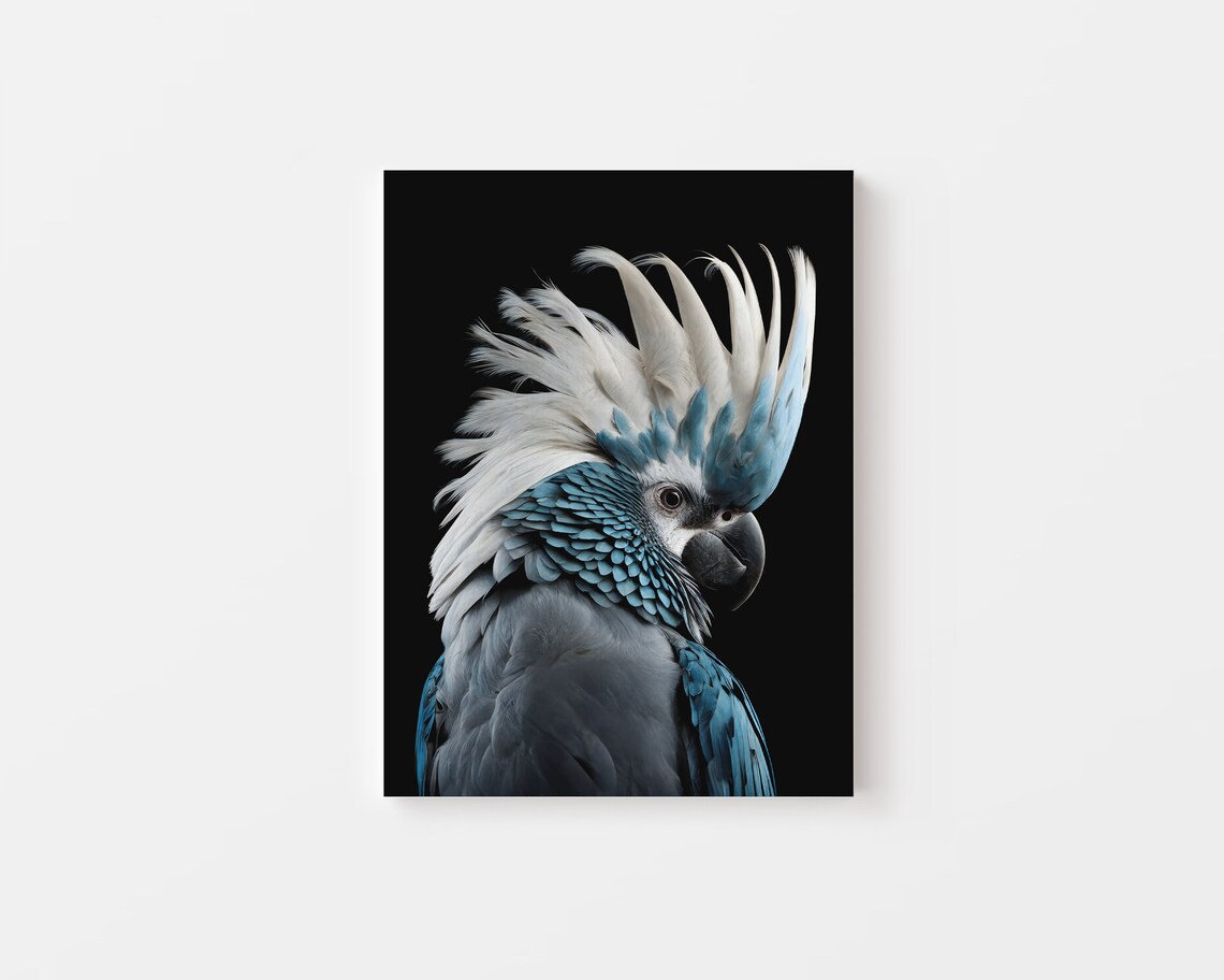 Black and Blue Cockatoo Art Print, Australian Birds - Image 4