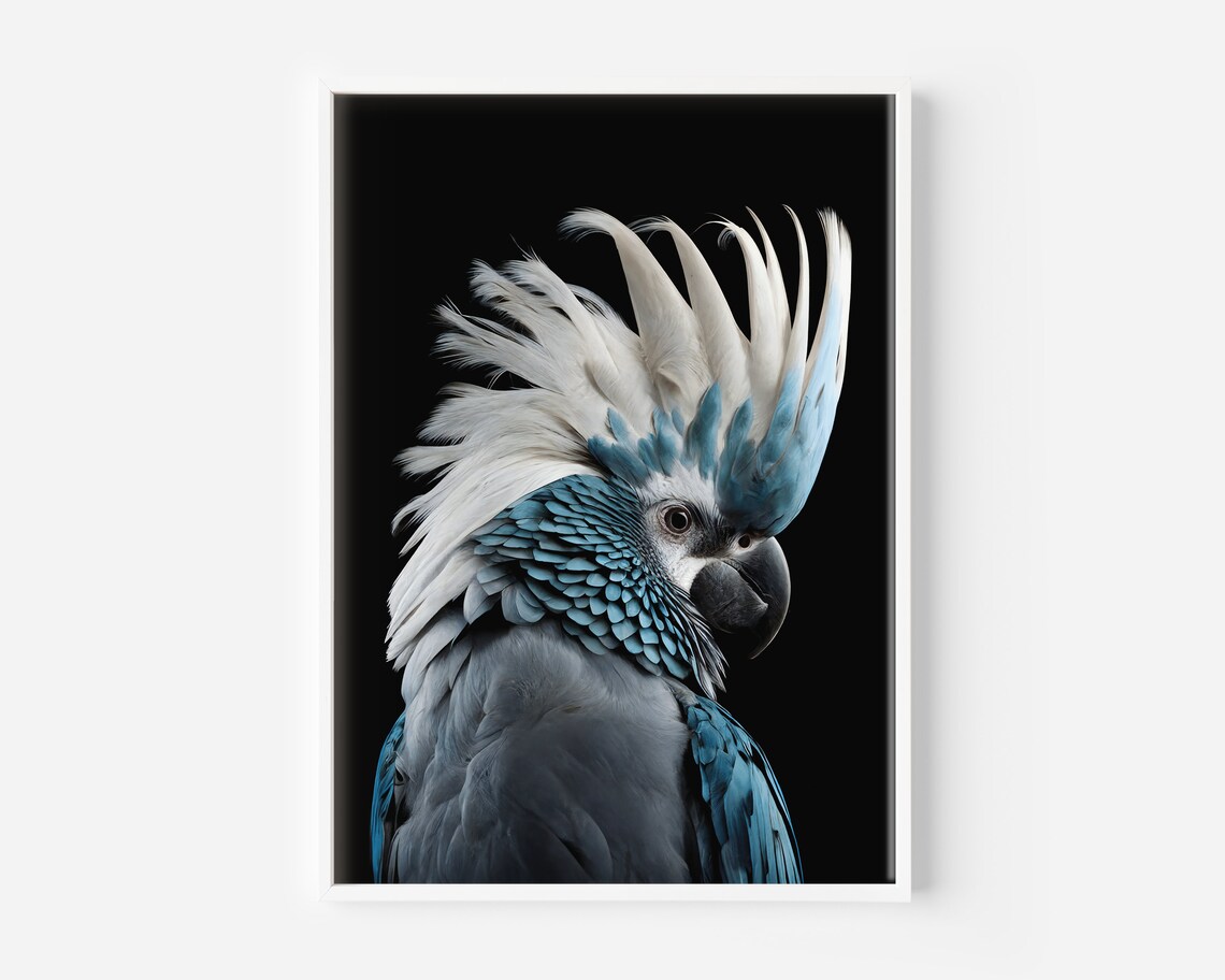 Black and Blue Cockatoo Art Print, Australian Birds - Image 2