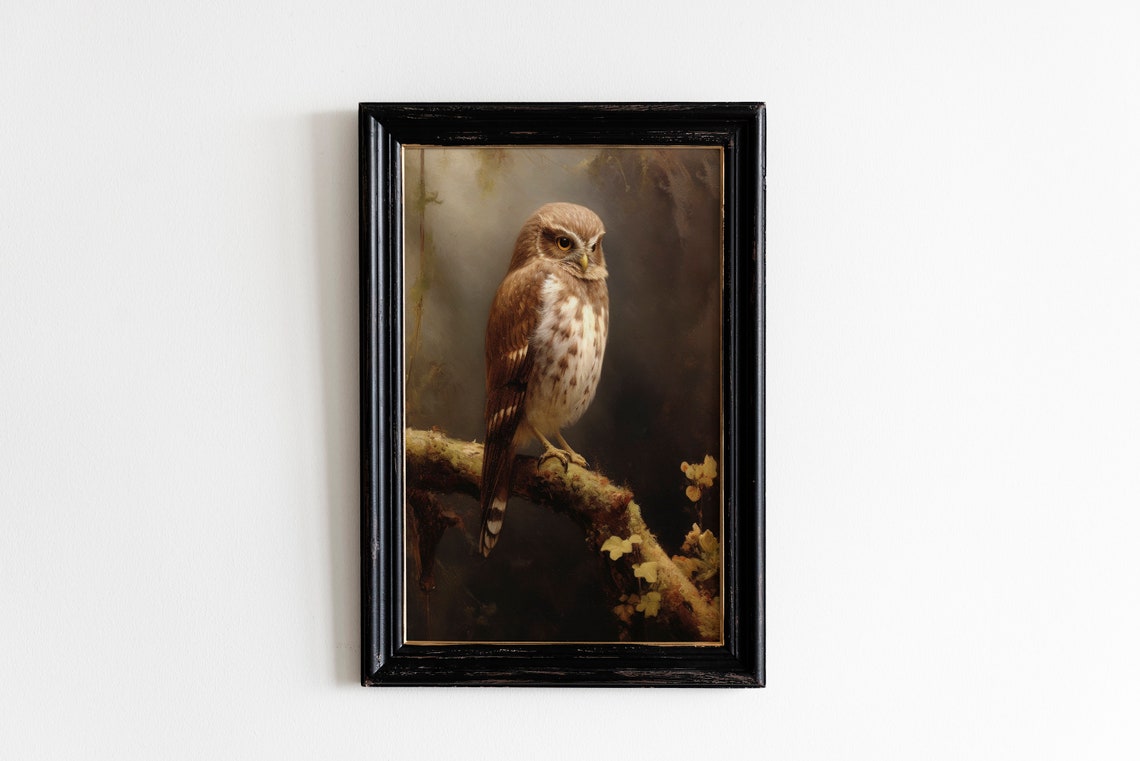 Pygmy Owl Vintage Brown Owl Farmhouse Cottagecore Poster Art