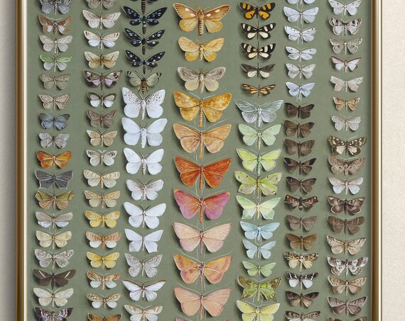 Green Butterfly Chart, Vintage Cottagecore Art Print