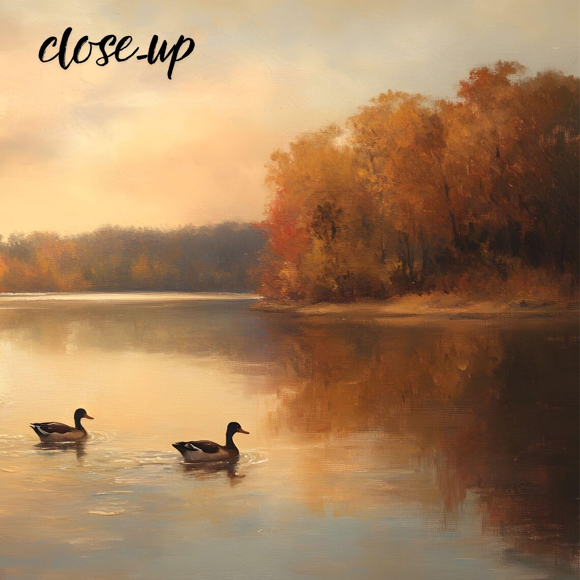 Four Mallard Ducks on Calm Autumn Lake Sunset Reflection Water Art Poster - Image 3