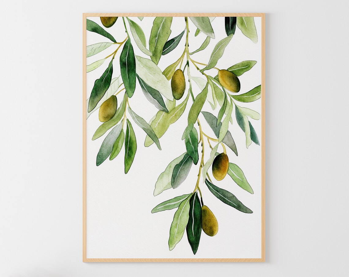 Olive Branch Watercolor Botanical Art Print, Kitchen Decor