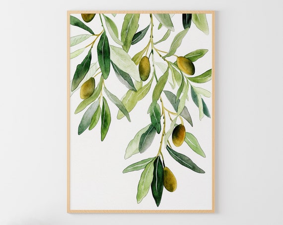 Olive Branch Watercolor Botanical Art Print, Kitchen Decor