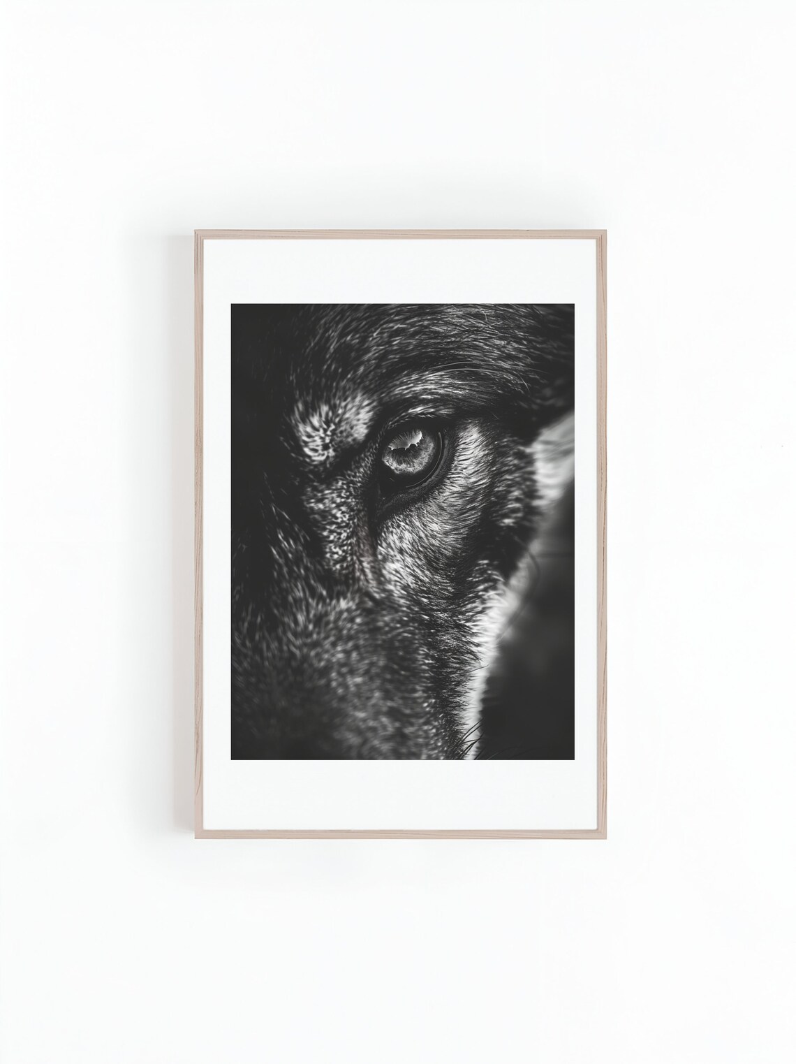 Wolf Eye Extreme Close Up Black And White Wildlife Photo Poster