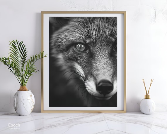 Fox Face Extreme Close Up Black And White Wildlife Photo Poster