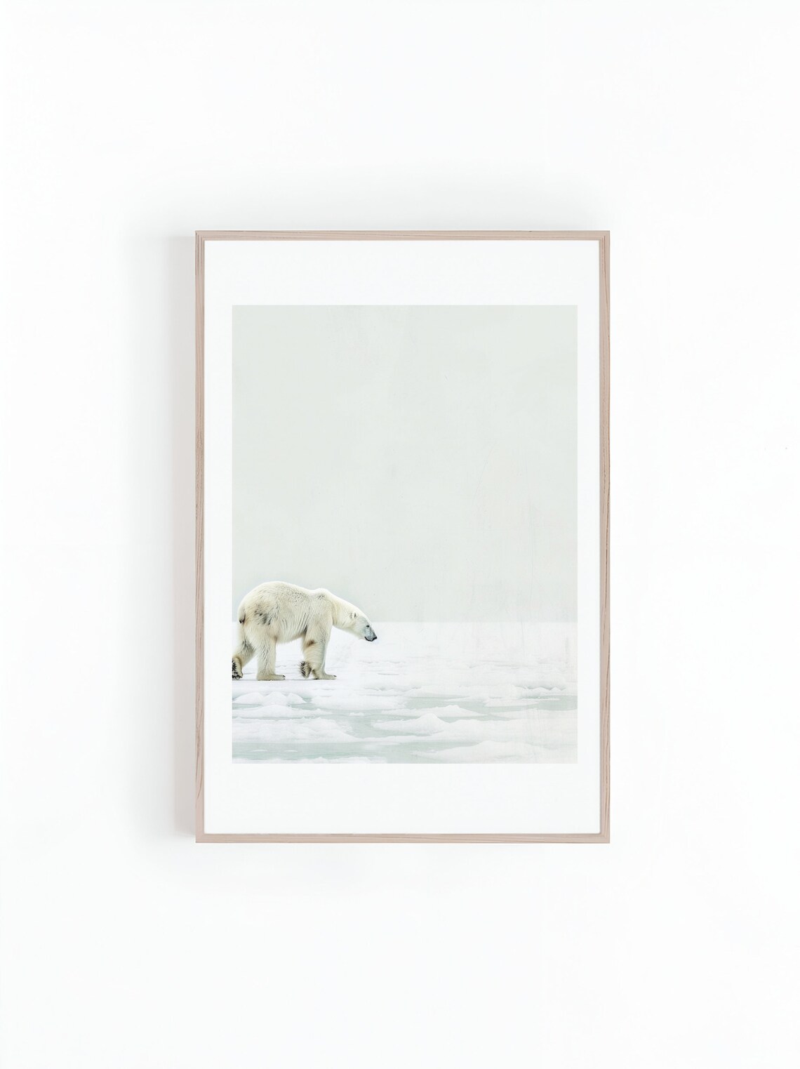 Polar Bear Black And White Photograph, Wildlife Photo