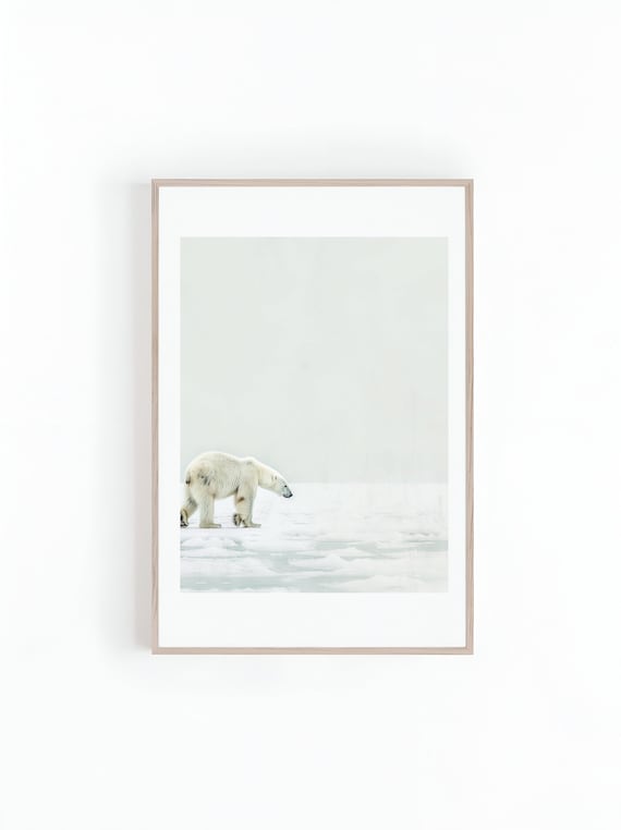 Polar Bear Black And White Photograph, Wildlife Photo