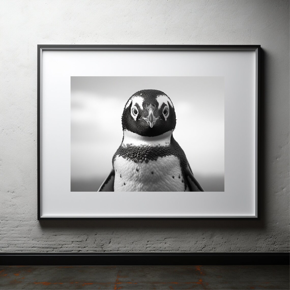 Penguin Wildlife Photo, Black And White Animal