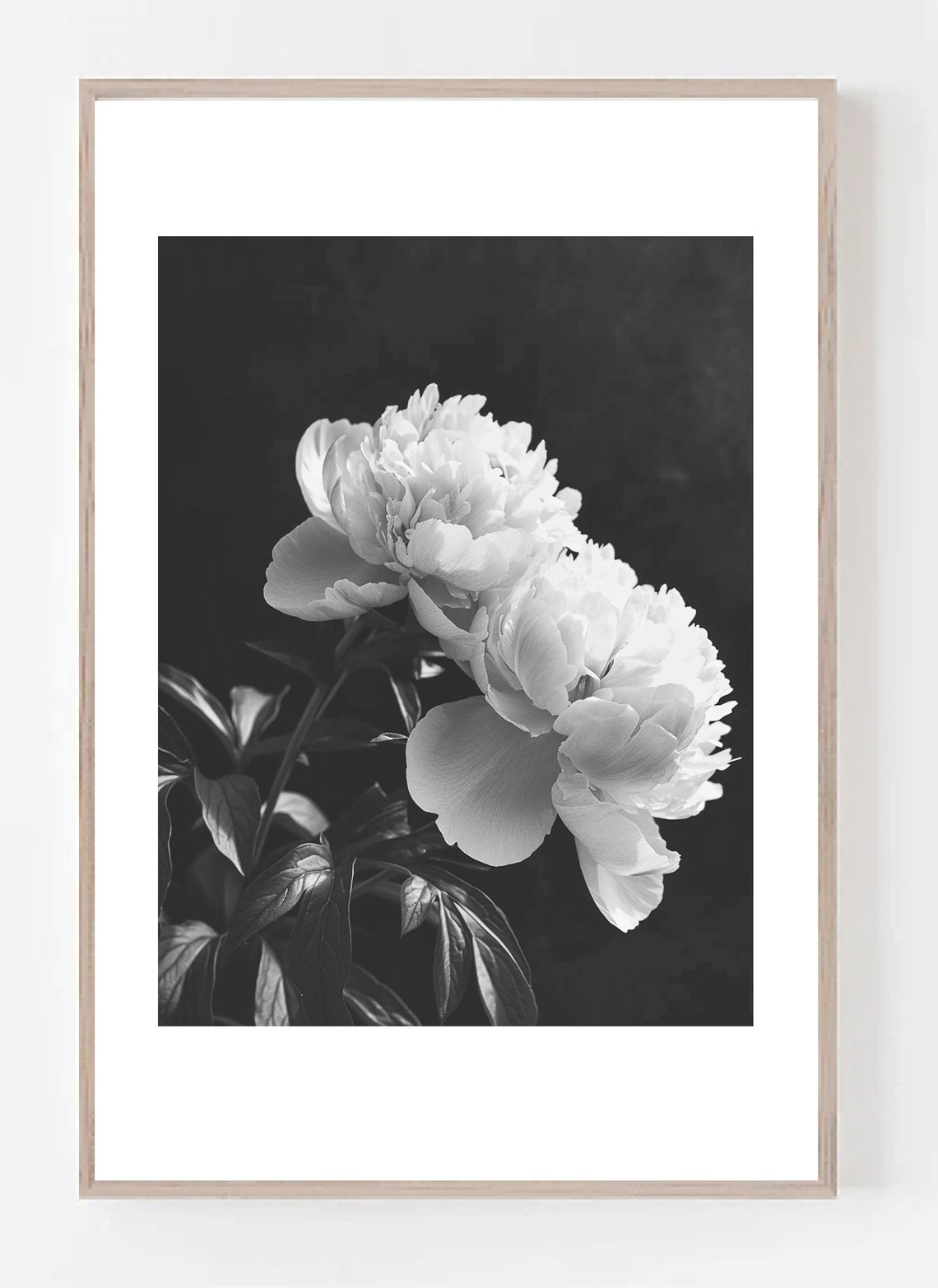 Peony Flowers Black And White Floral Art Print - Image 2