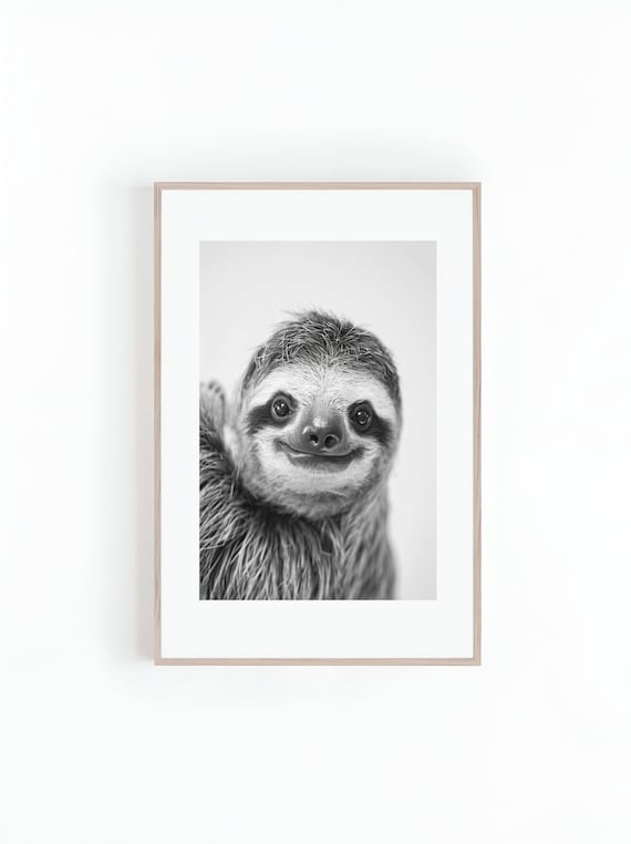 Smiling Sloth Black And White Wildlife Photo