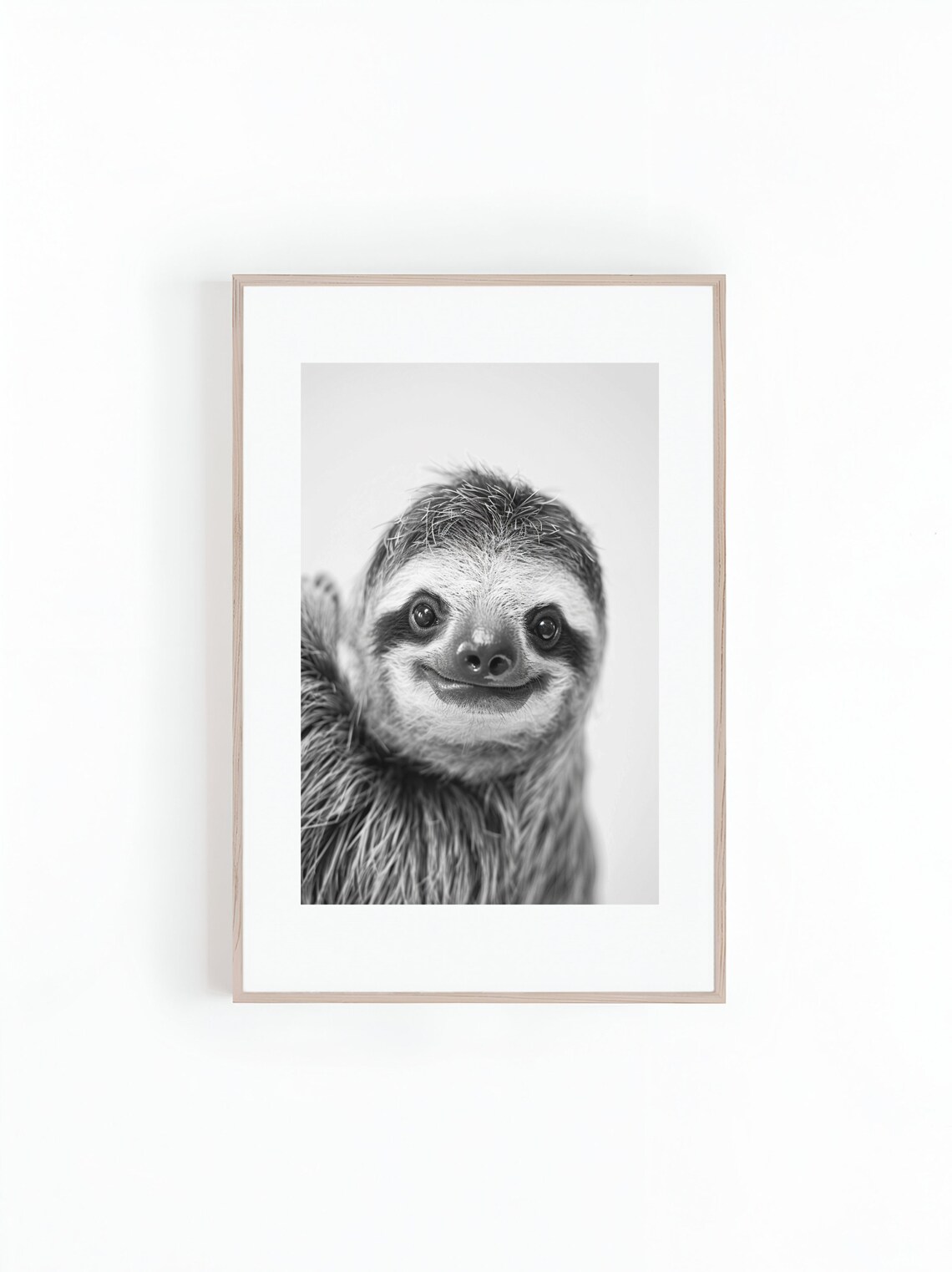 Smiling Sloth Black And White Wildlife Photo