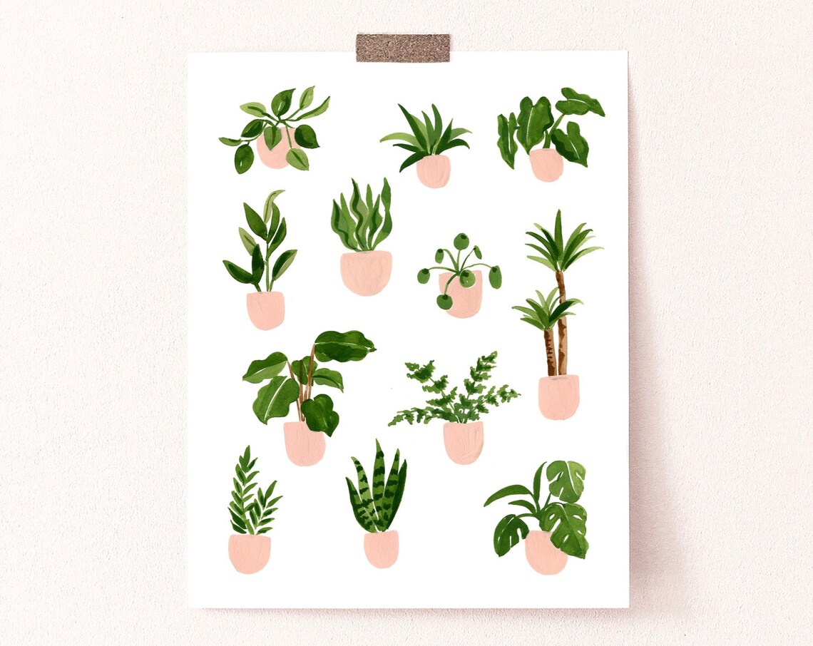 House Plants Botanical Wall Art, Sabina Fenn Art Print
