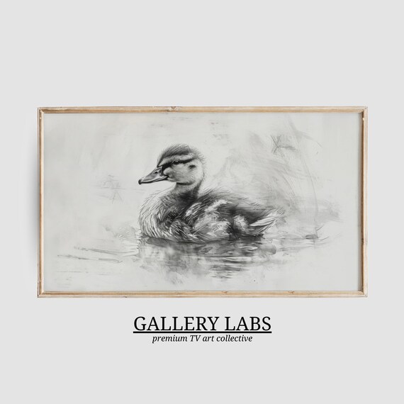 Vintage Duckling Pencil Sketch Monochrome Water Bird Drawing Wall Art Poster