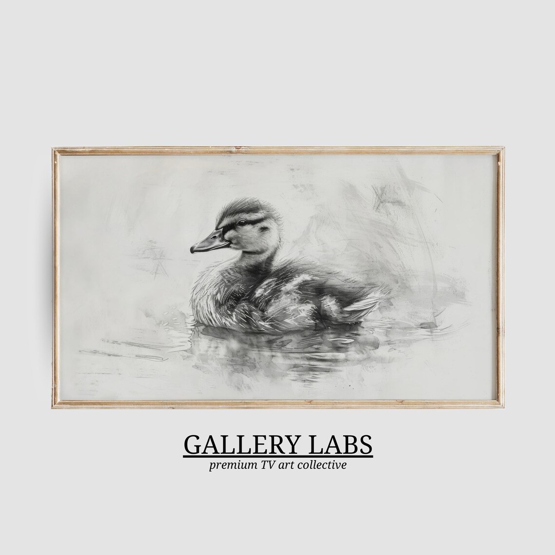 Vintage Duckling Pencil Sketch Monochrome Water Bird Drawing Wall Art Poster