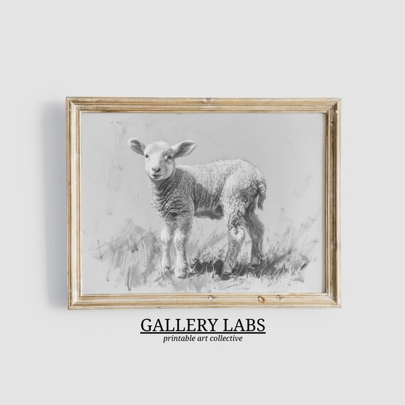 Baby Lamb Pencil Sketch Vintage Woodland Nursery Animal Poster
