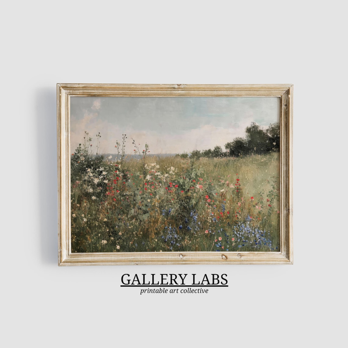 Spring Wildflower Meadow Red White Blue Blooms Vintage Art Print